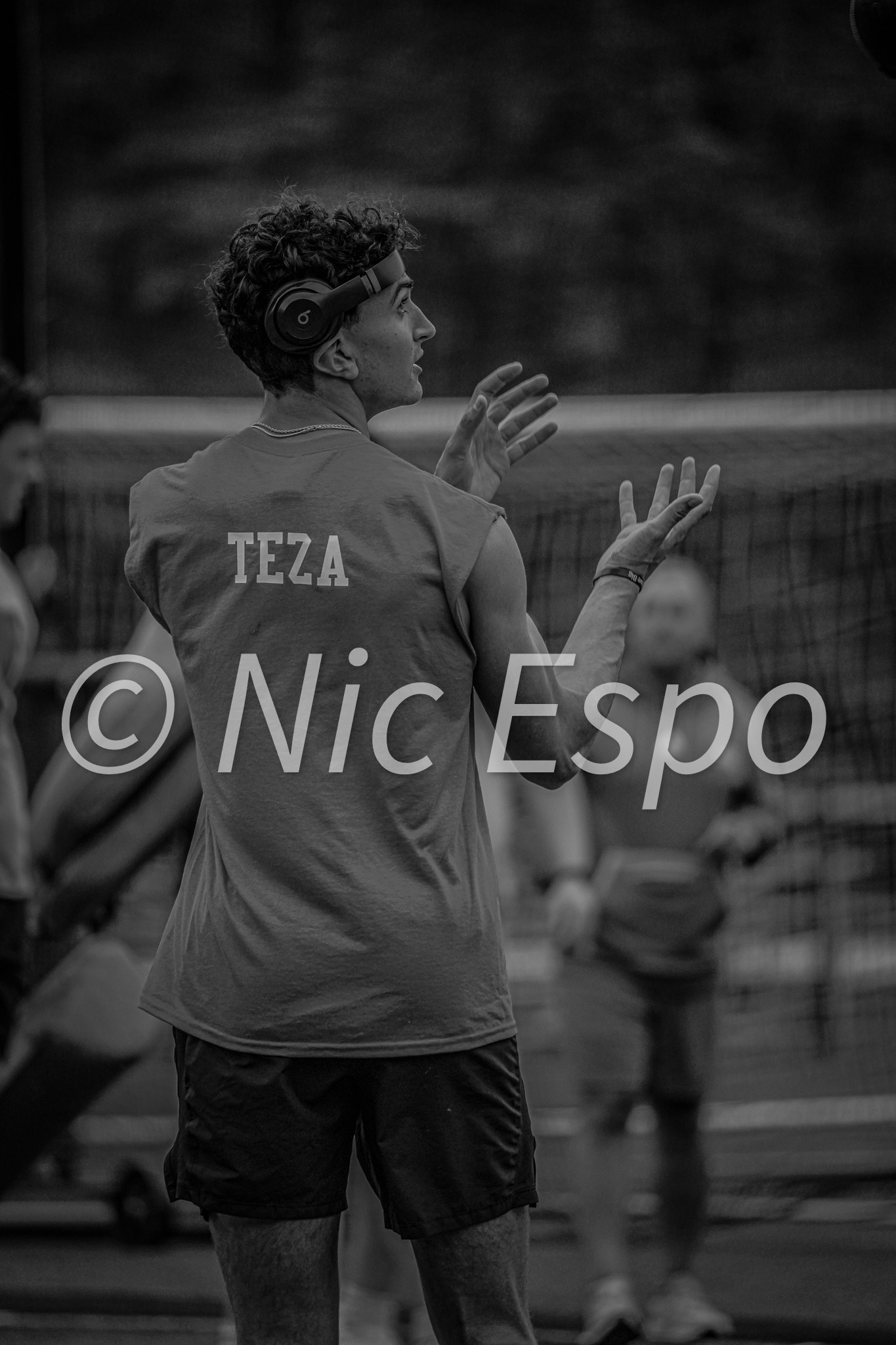 teza — W46 - Teza